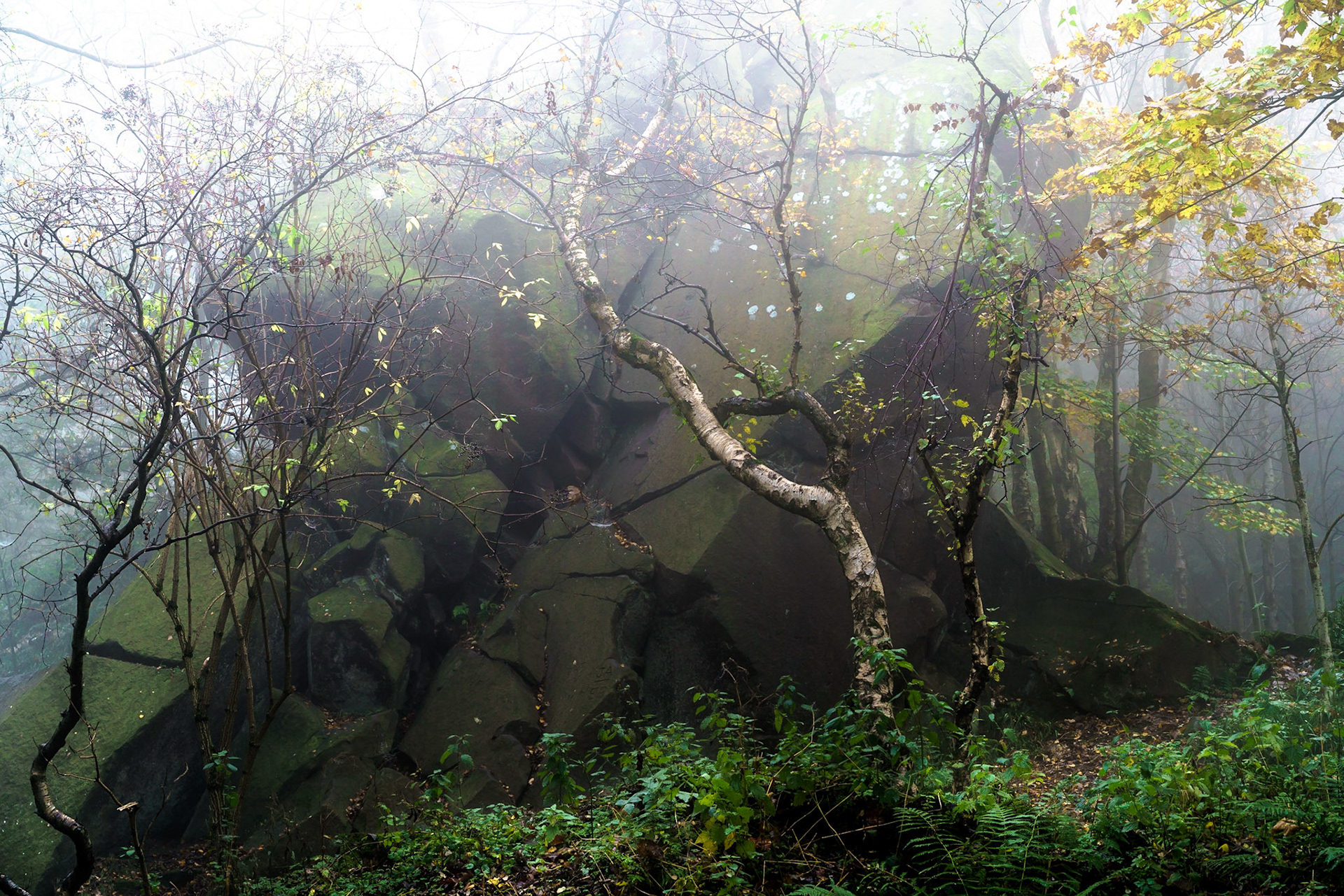 Near Black rocks, Wirksworth