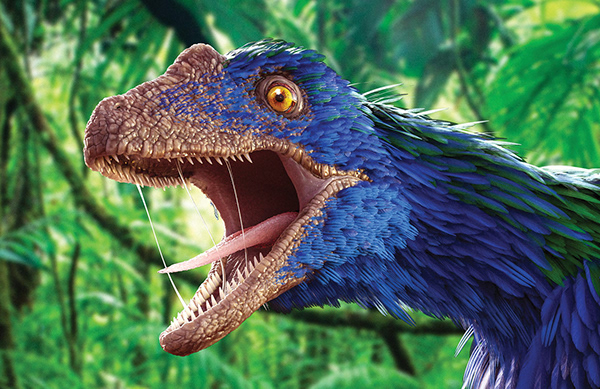 Magictorch : Illustration and Motion - Feathered Dinosaur 'Caihong Juji'