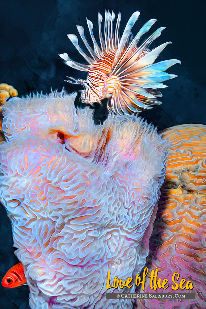 BONAIRE Lionfish by Catherine Salisbury