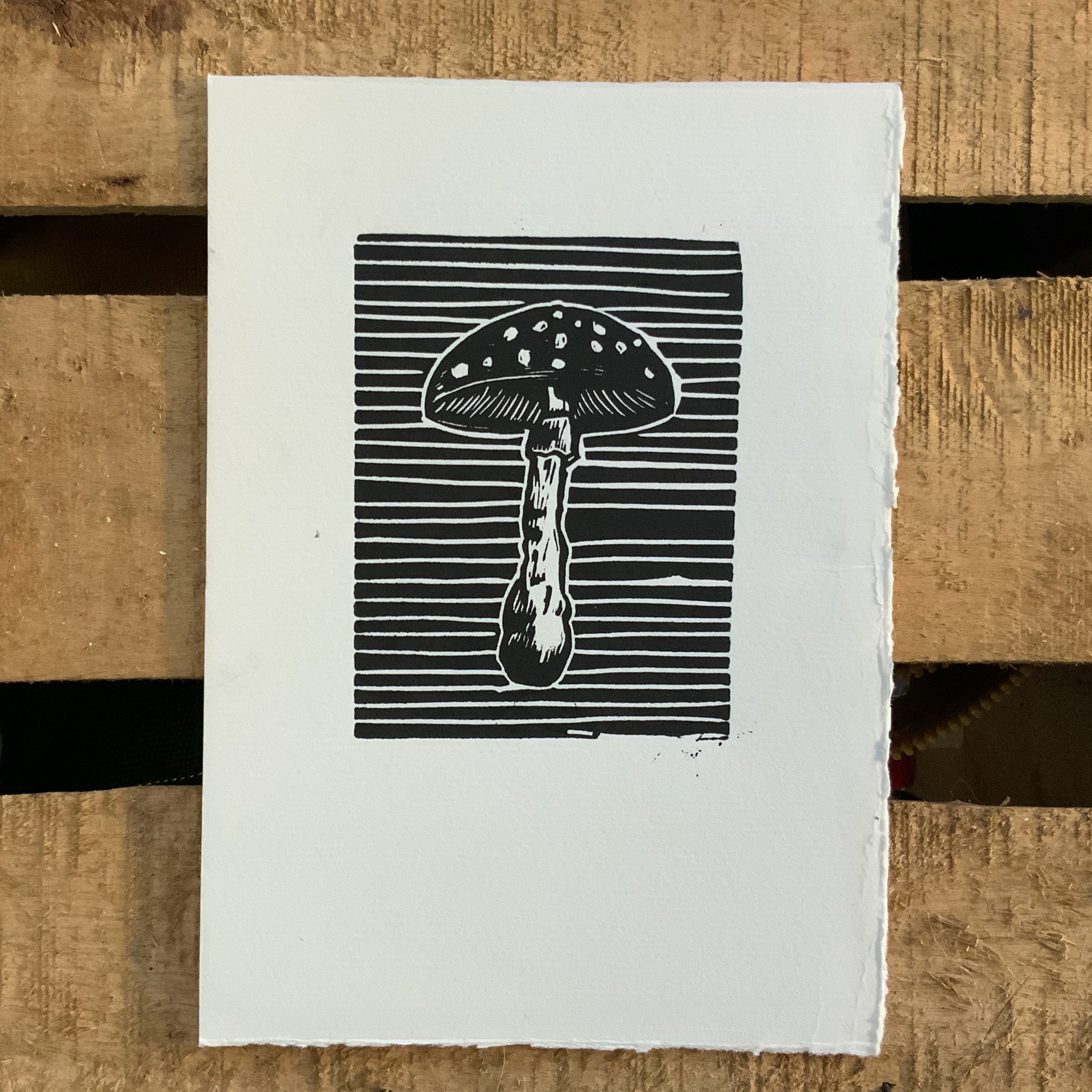 Champignon