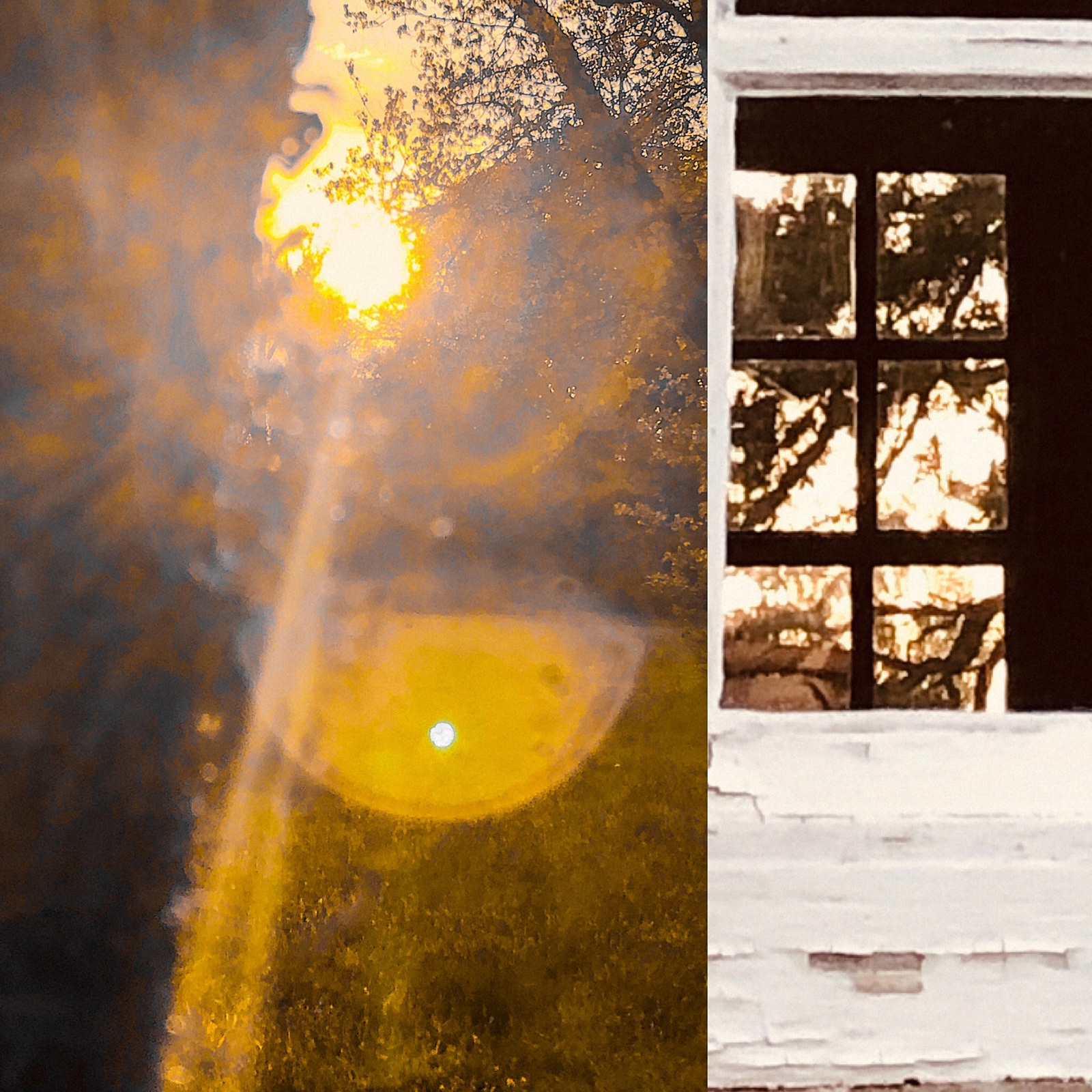 Selected: Sheep Cottage, 2020