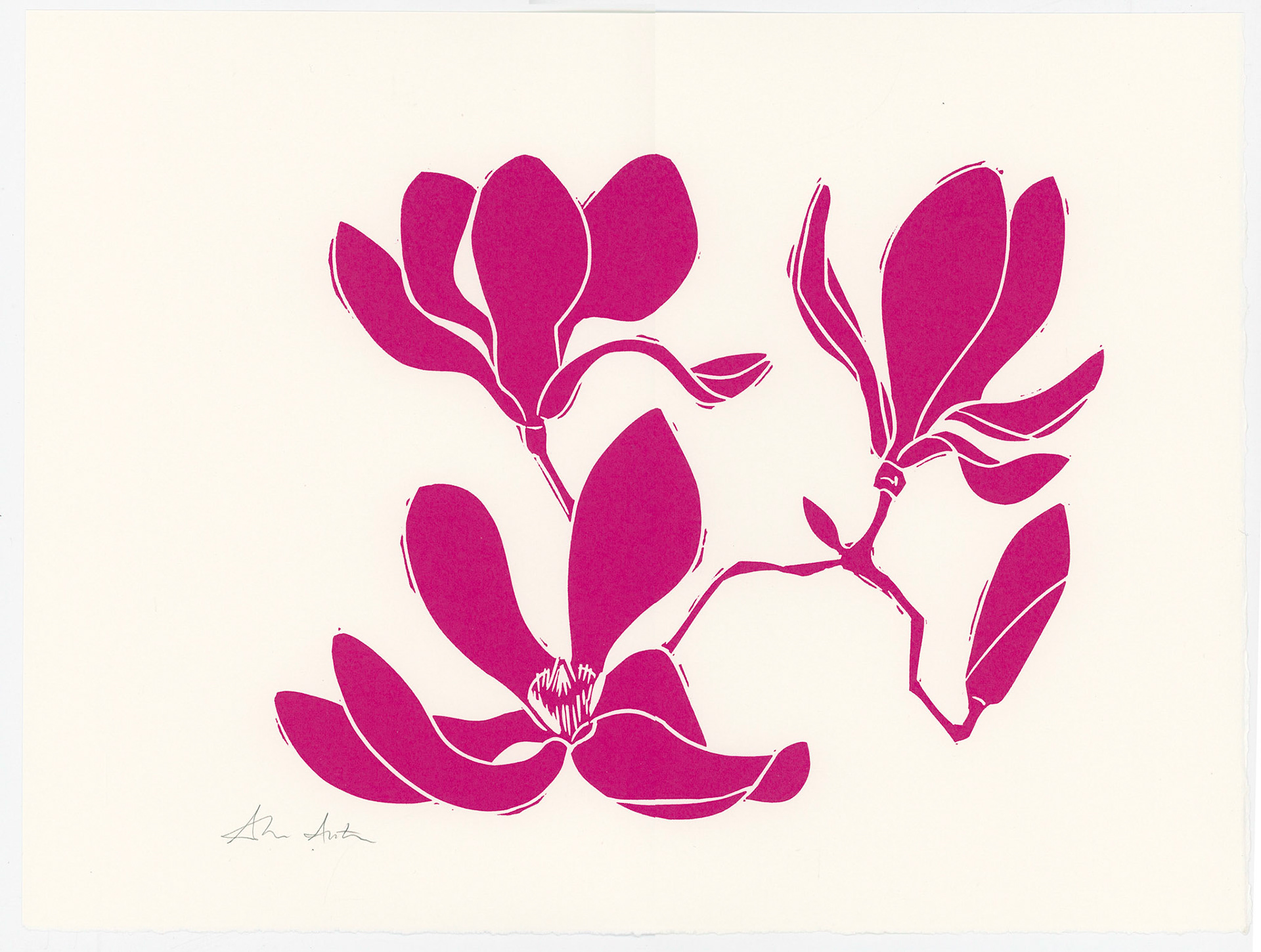 Alice Austin - Covid Year