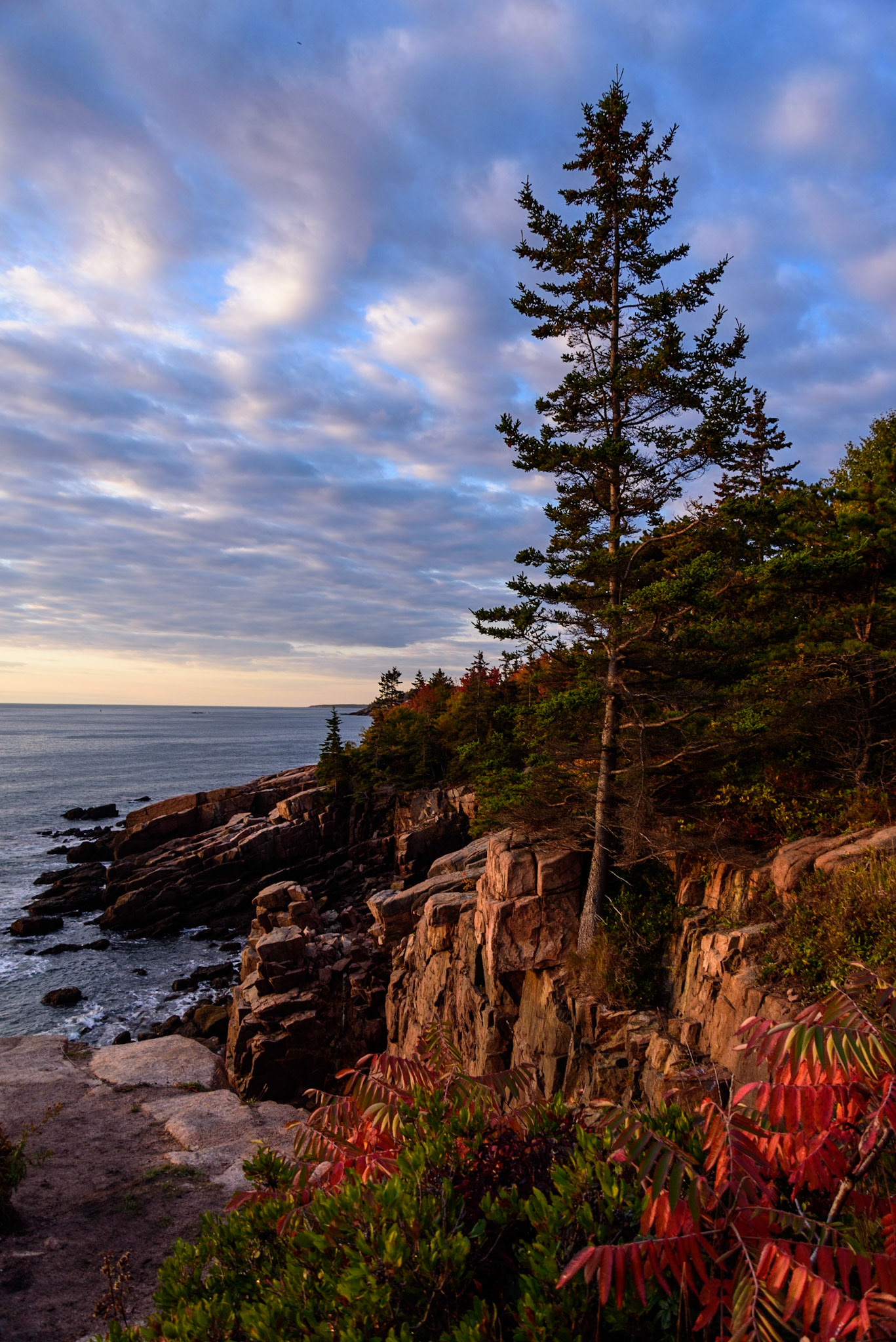Acadia National Park