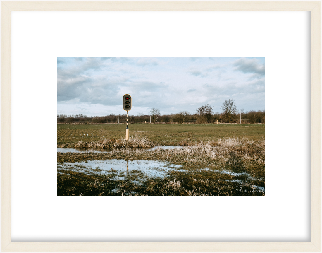 BelgiumCP_LE002_maple