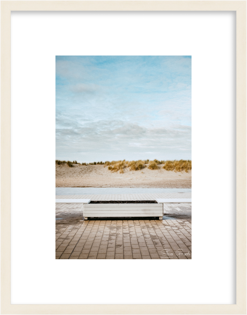 CostaBelgica_LE009A_maple