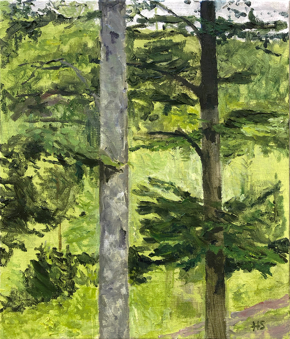 Beech trees in the rain, oil on canvas, 35x41 cm