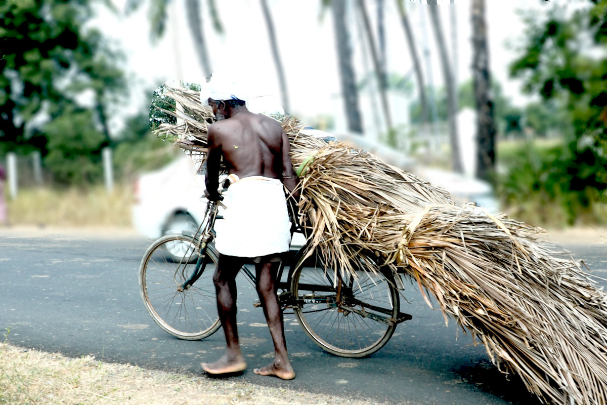 Tamil Nadu, Mamallapuram