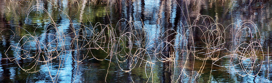 Wetlands, Platte River, swamp, reflection