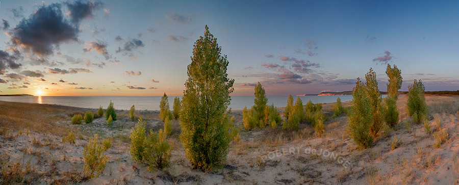 A stand of poplars on Platte Bay at sunset