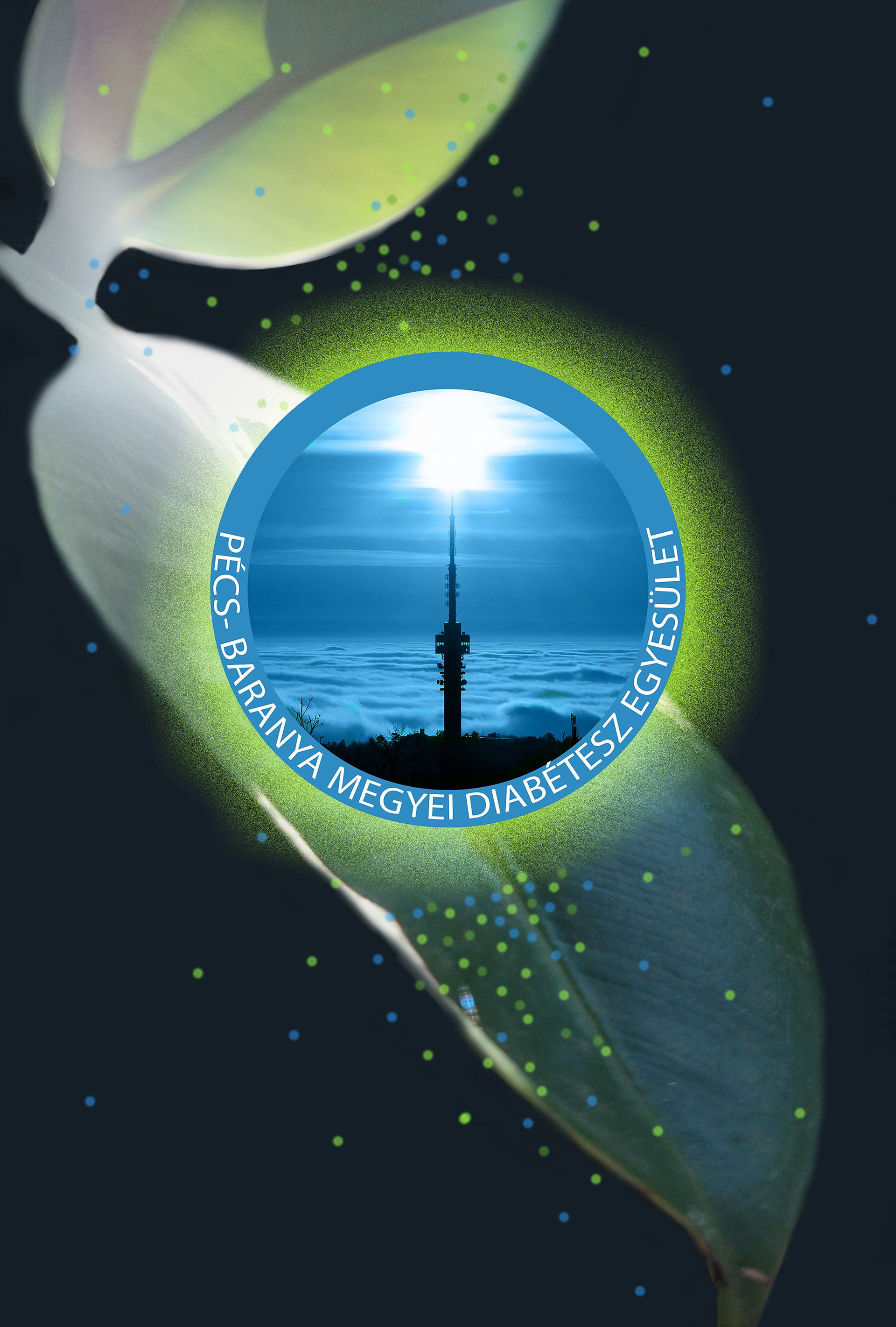 Cover page design for the special edition of the Baranya county Diabetes association, 2017