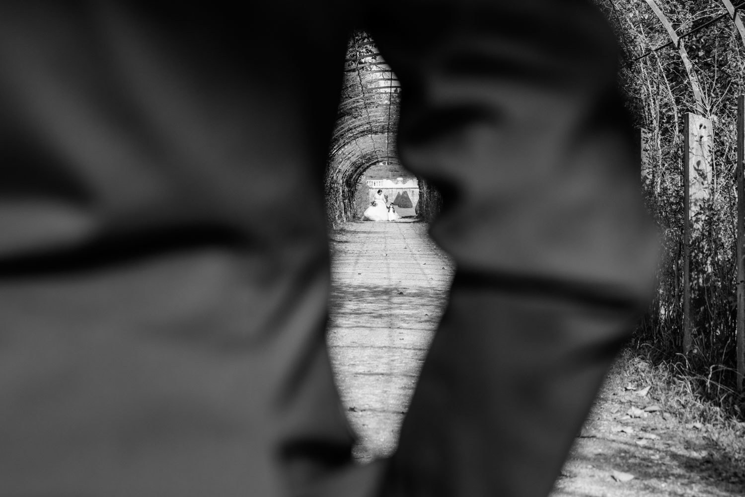 Hochzeit_Salzburg_Marmorsaal_Mirabell_Hochzeitsfotograf_Thomas_Traschwandtner_Tau_Light_Mediav