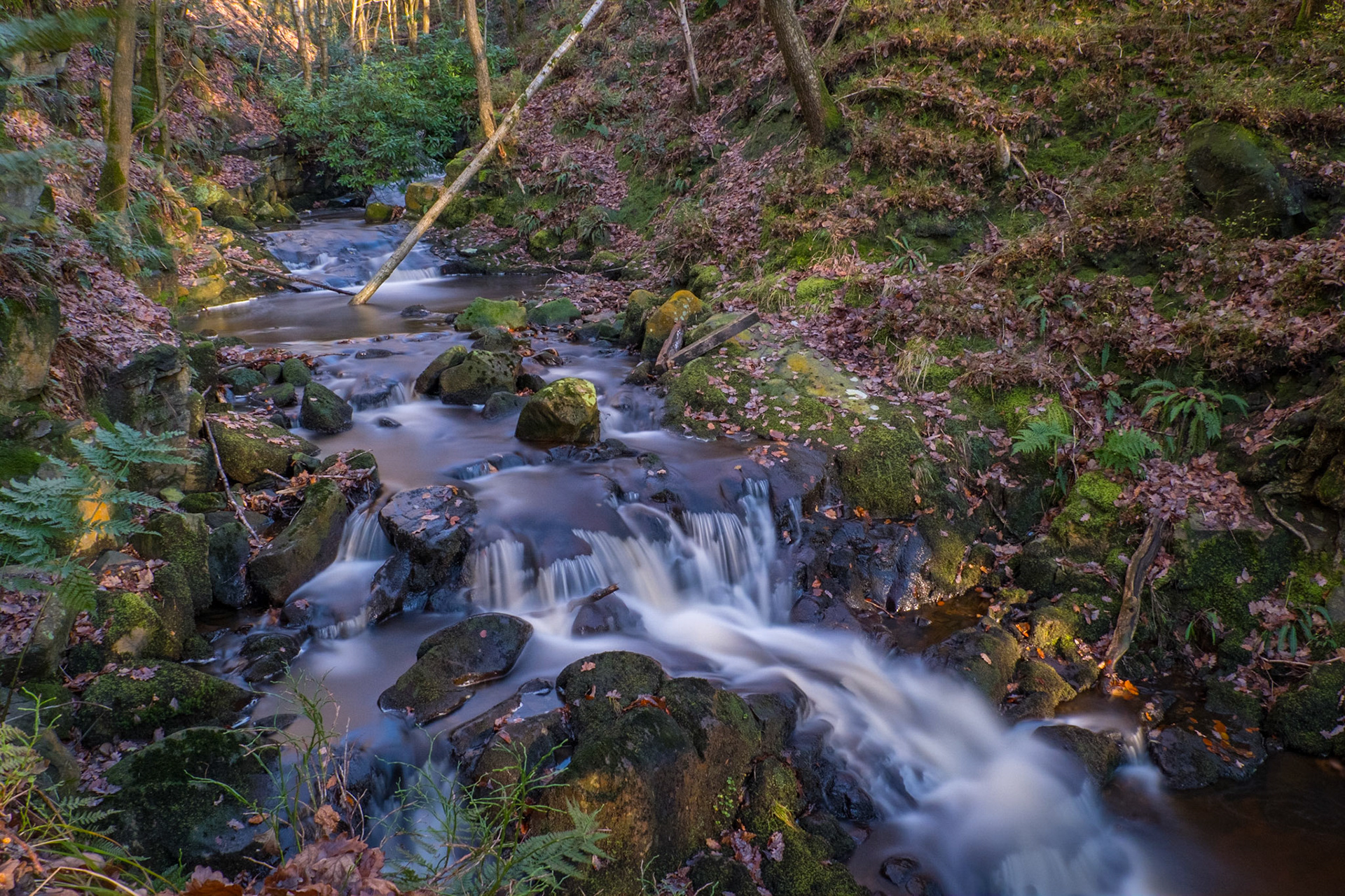 River and woodland waterfall, Rivington, Lancashire