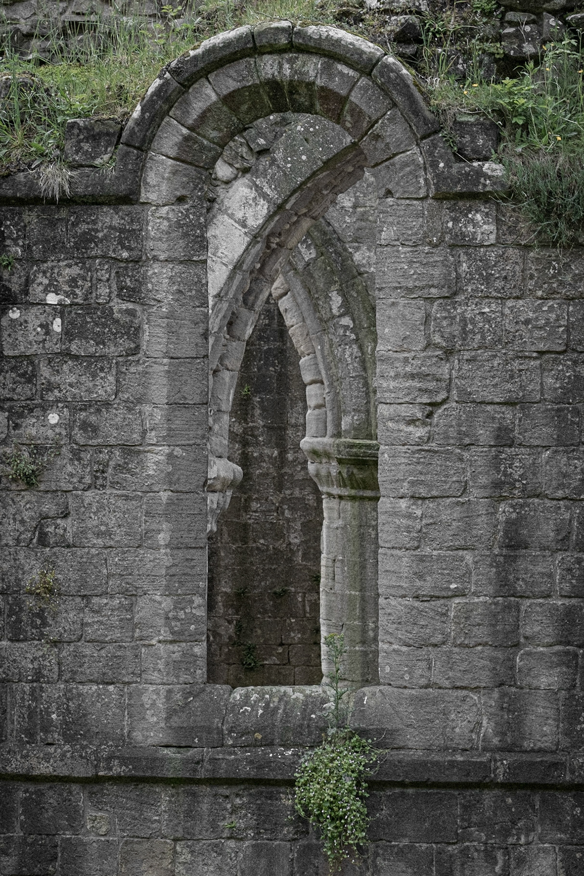 Fountains Abbey