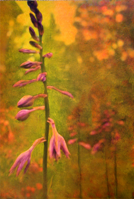 "Flower Life"