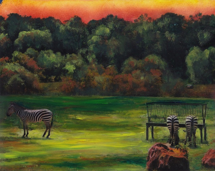 "Zebra Chill"