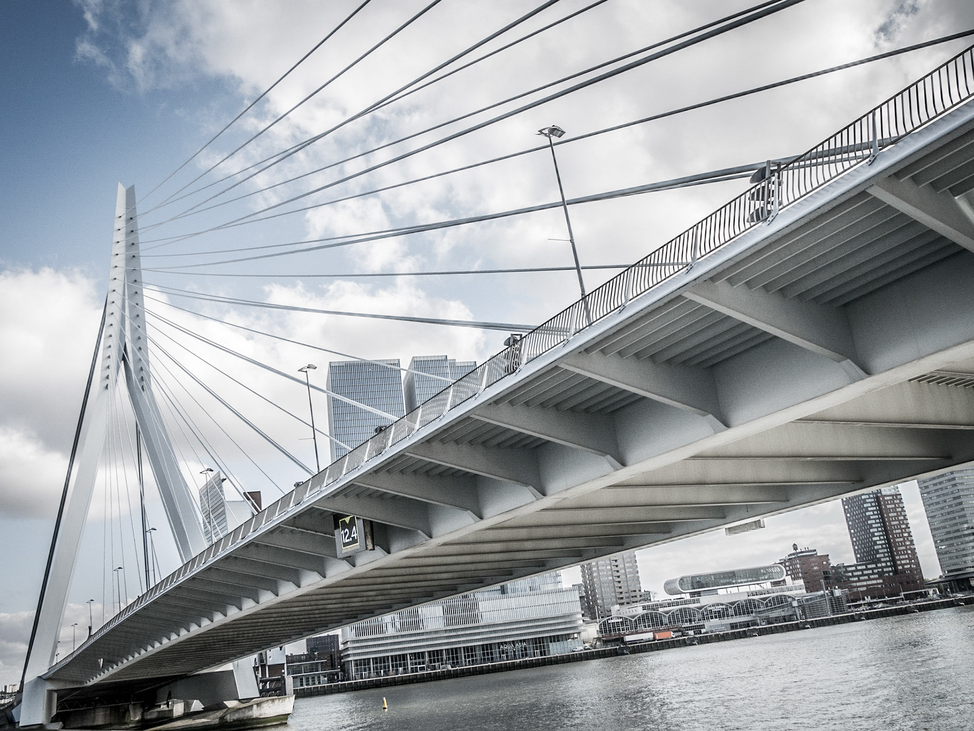 Erasmusbrücke, Rotterdam