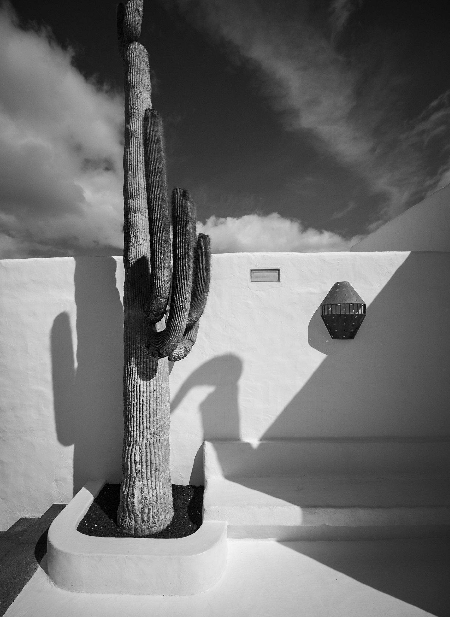 Fundación César Manrique