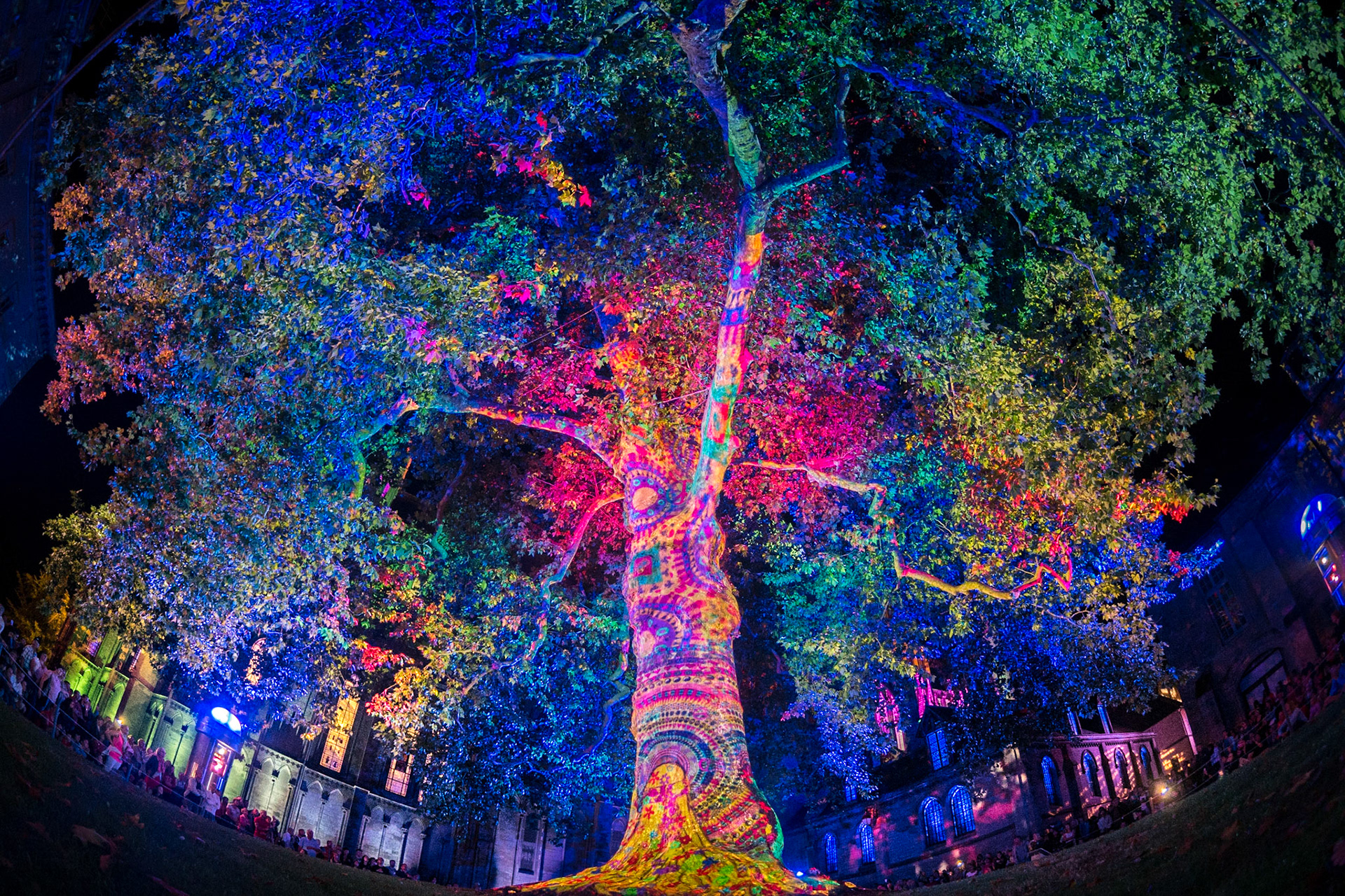 Der Baum des Lebens in Bayeux