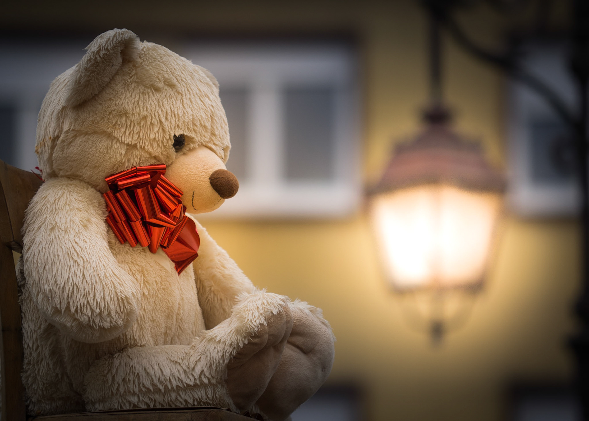 Teddy auf dem Weihnachtsmarkt (Frankreich)
