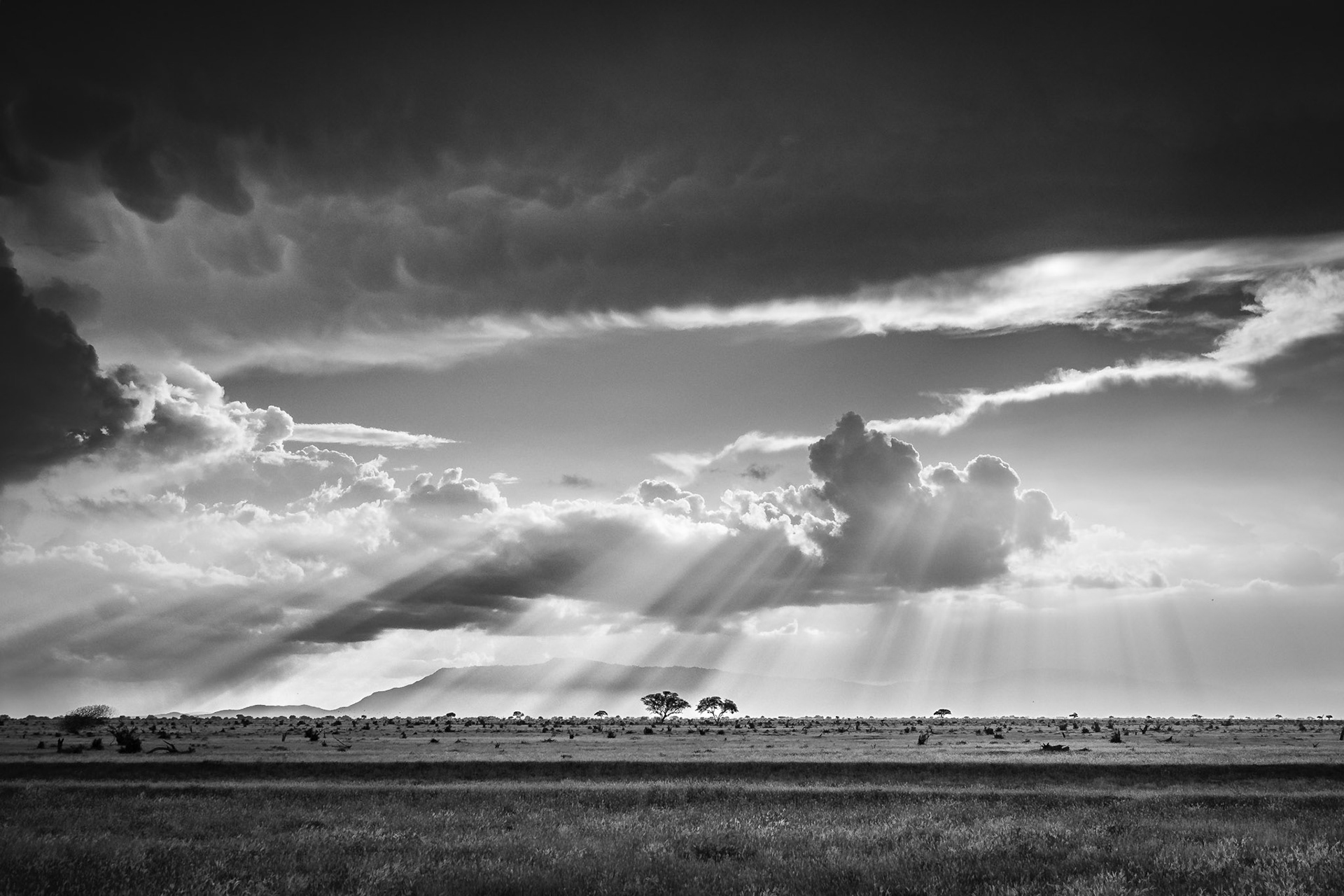 Kurz vor Sonnenuntergang im Tsavo Ost, Kenia