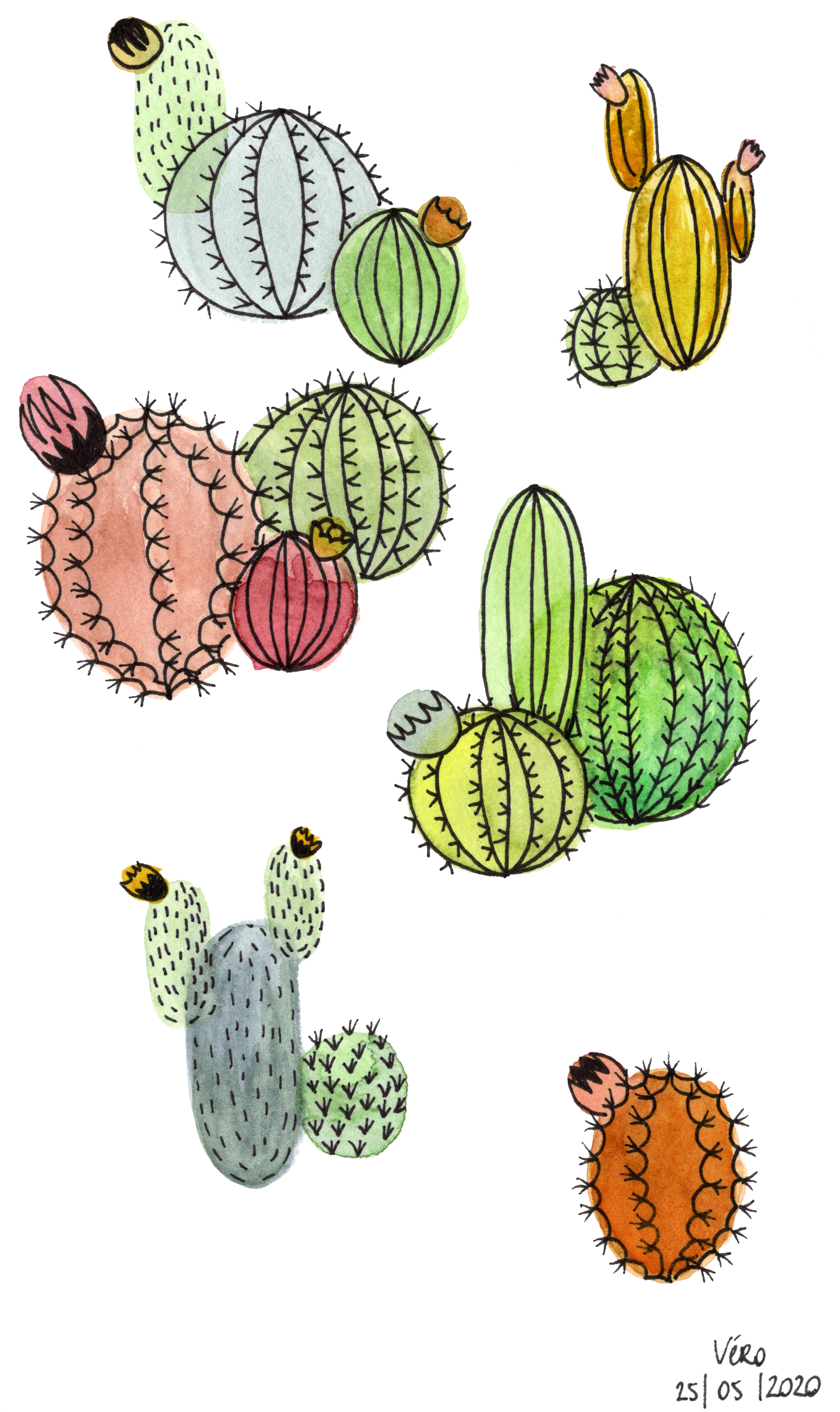 Cactus #2