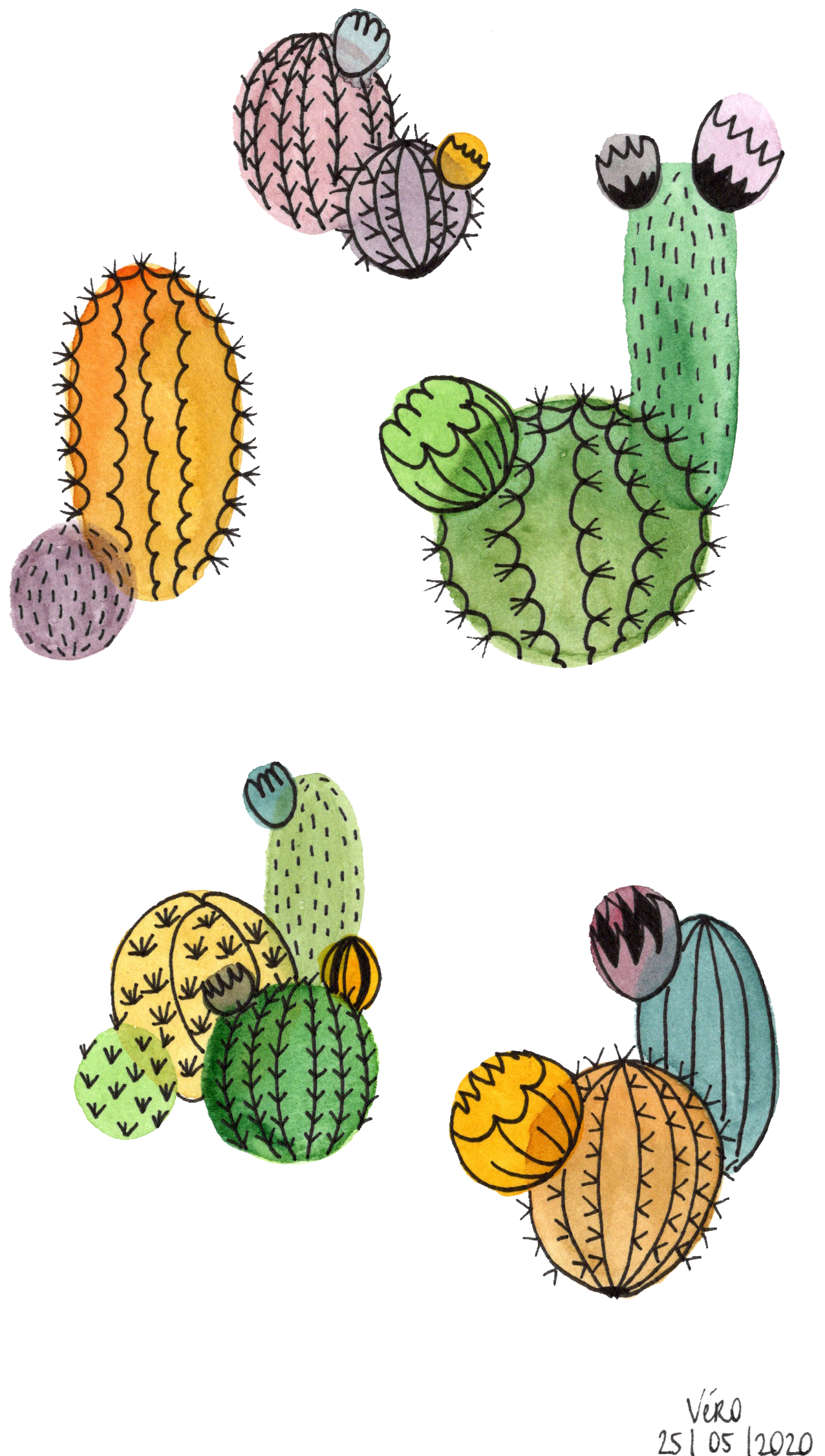 Cactus #3