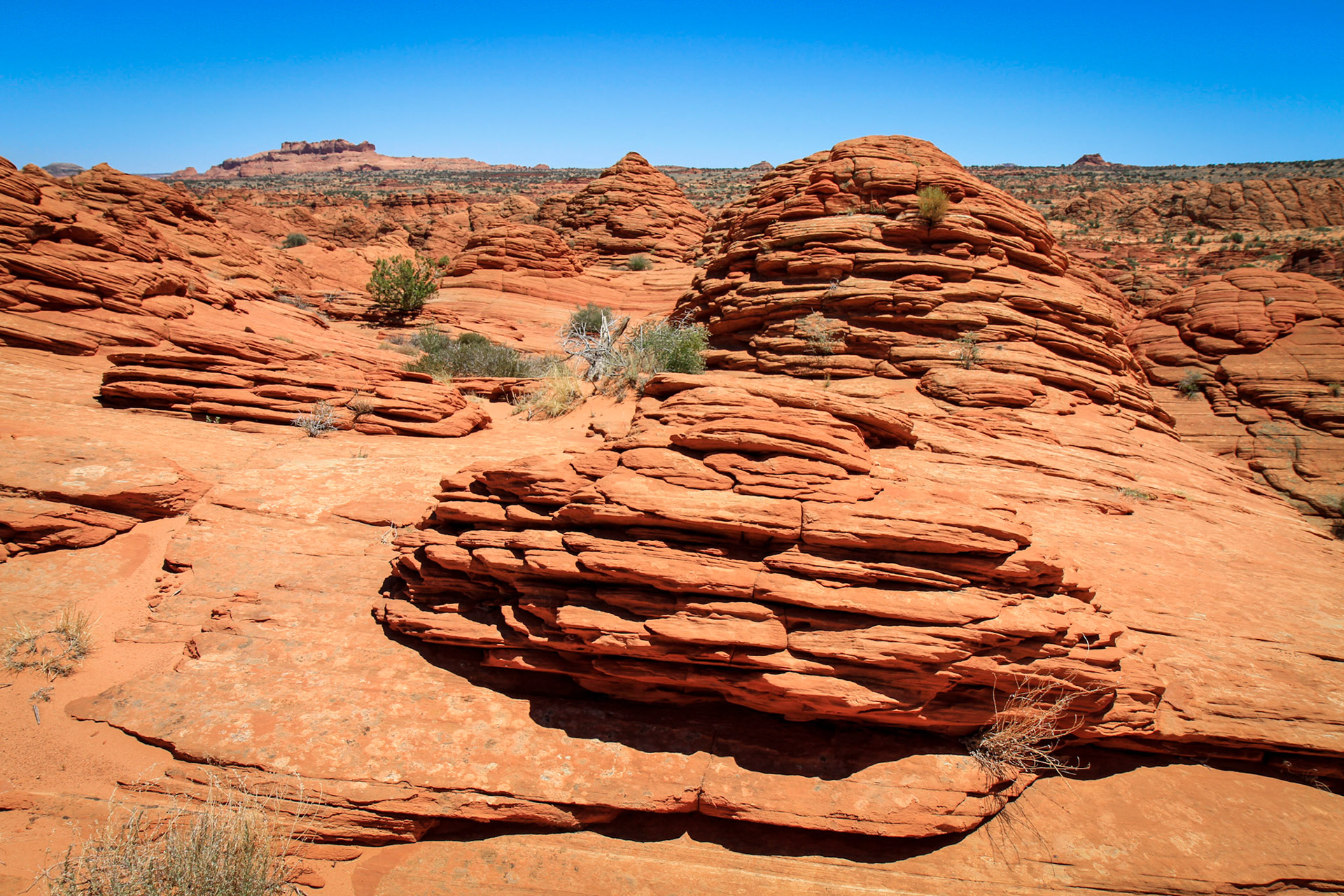 Coyote Buttes near Kanab