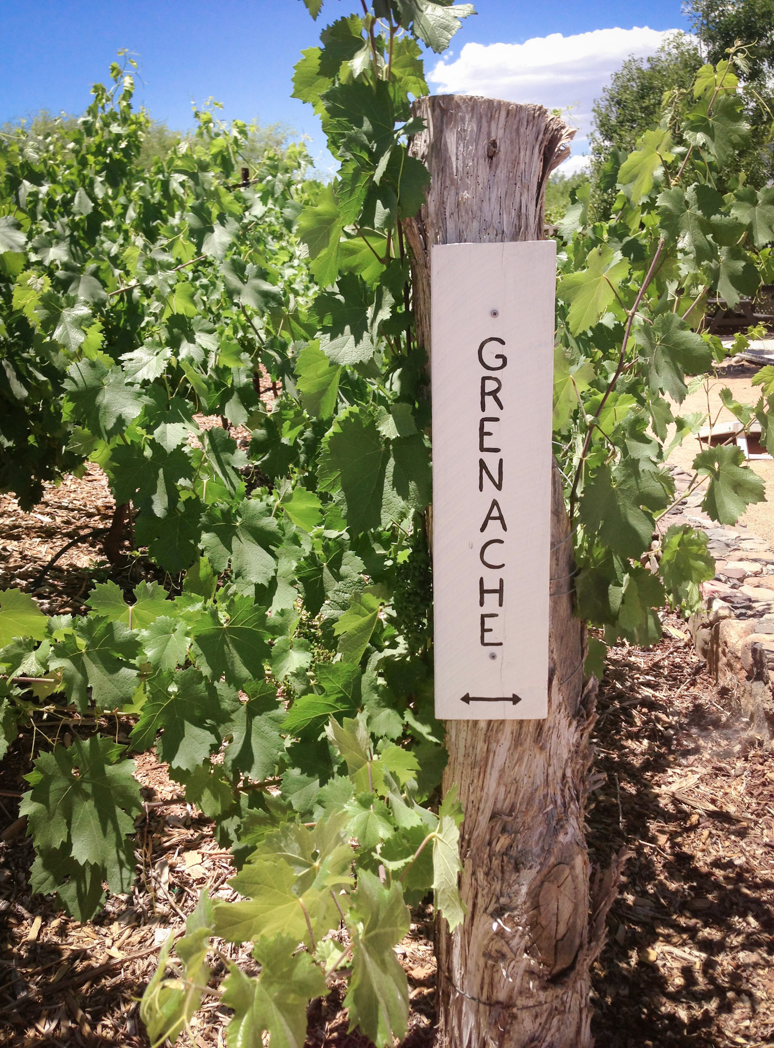 Page Springs Cellars