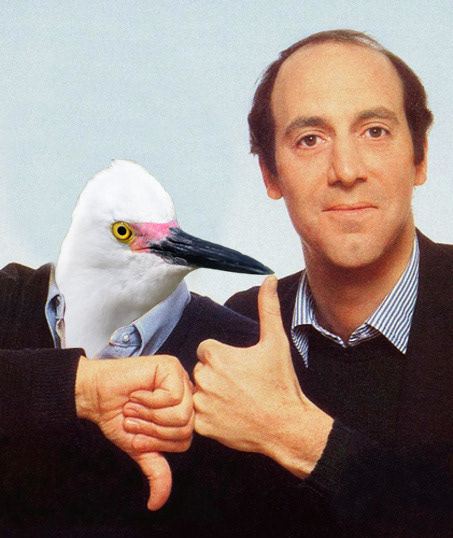 Siskel & Egret