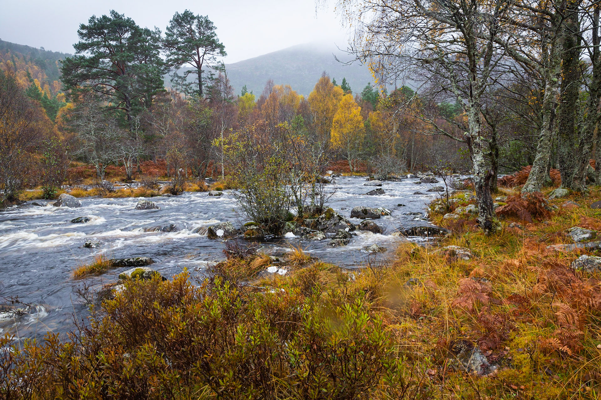 River Cannich