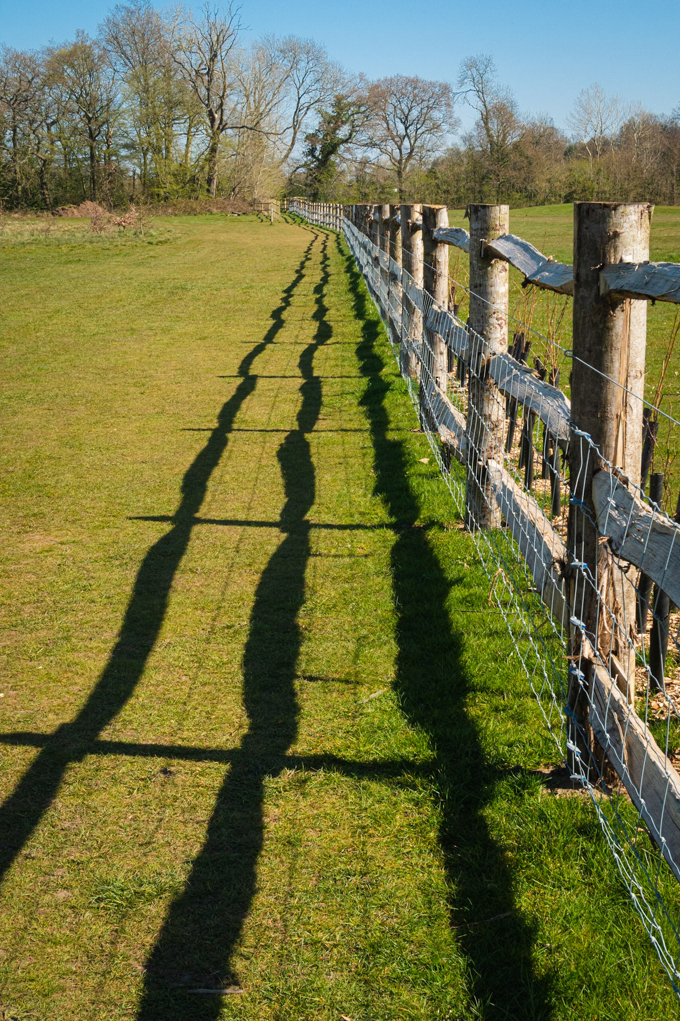 New fencing