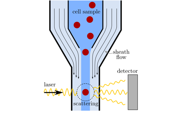 Jack Lindsay - Imaging Flow Cytometer