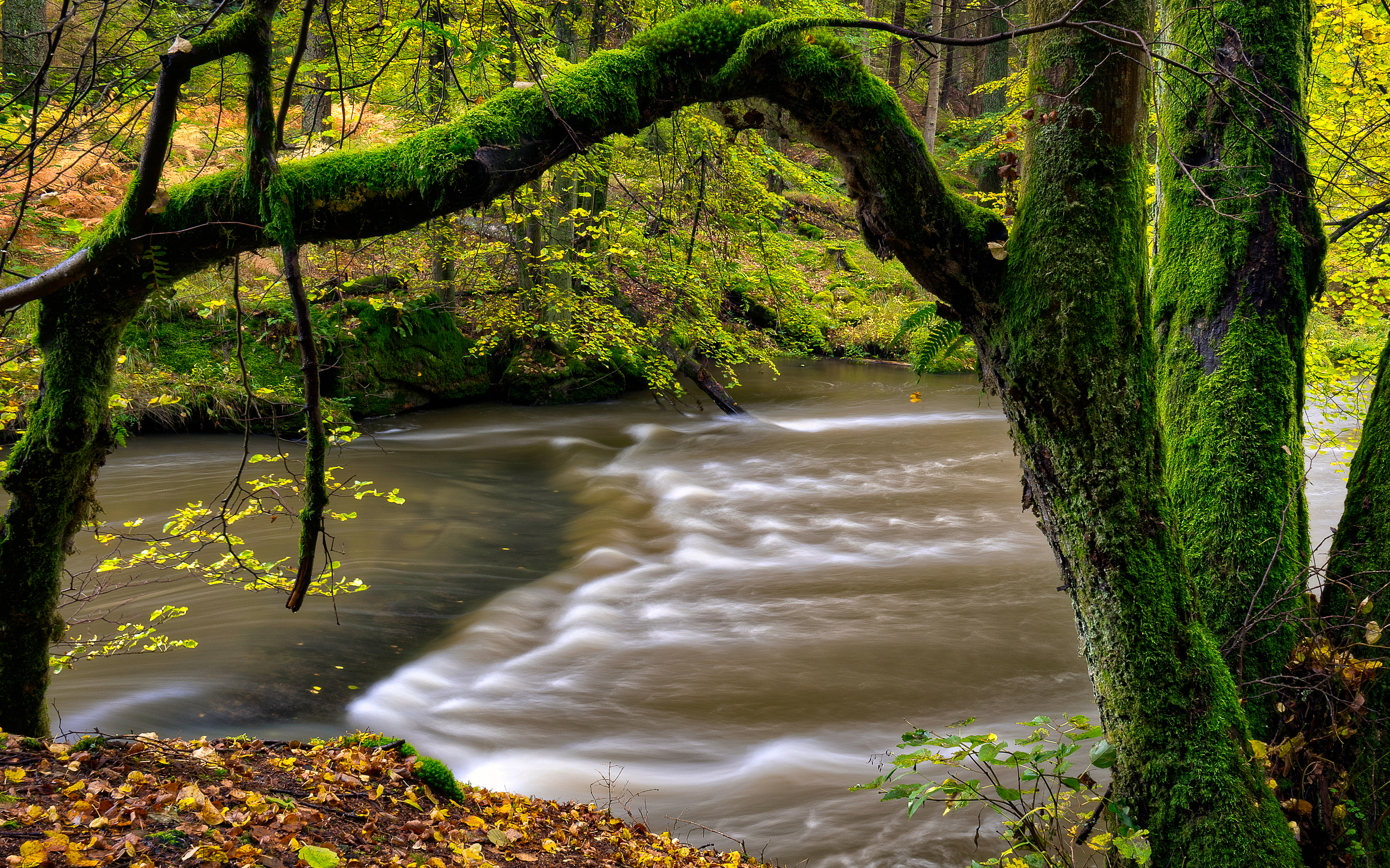 River in the Frame | 2019