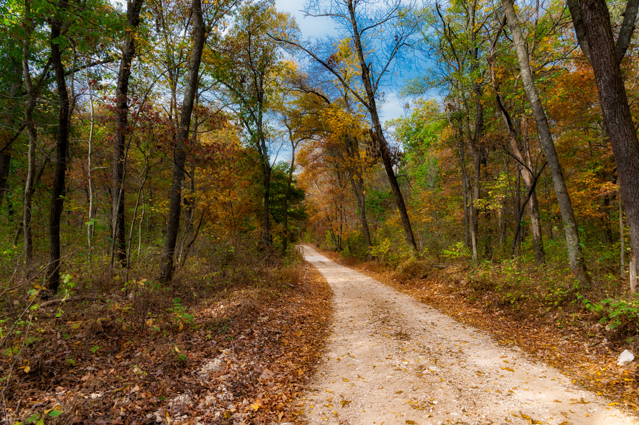 J.T. Nickle Preserve road