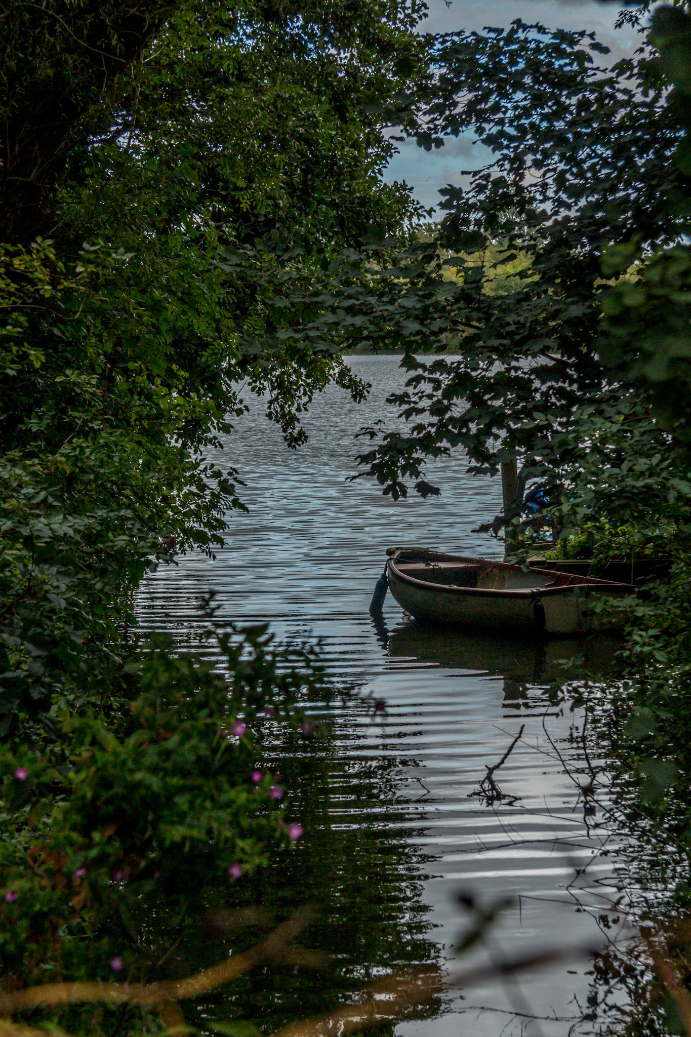Rowing boat at Ranworth
