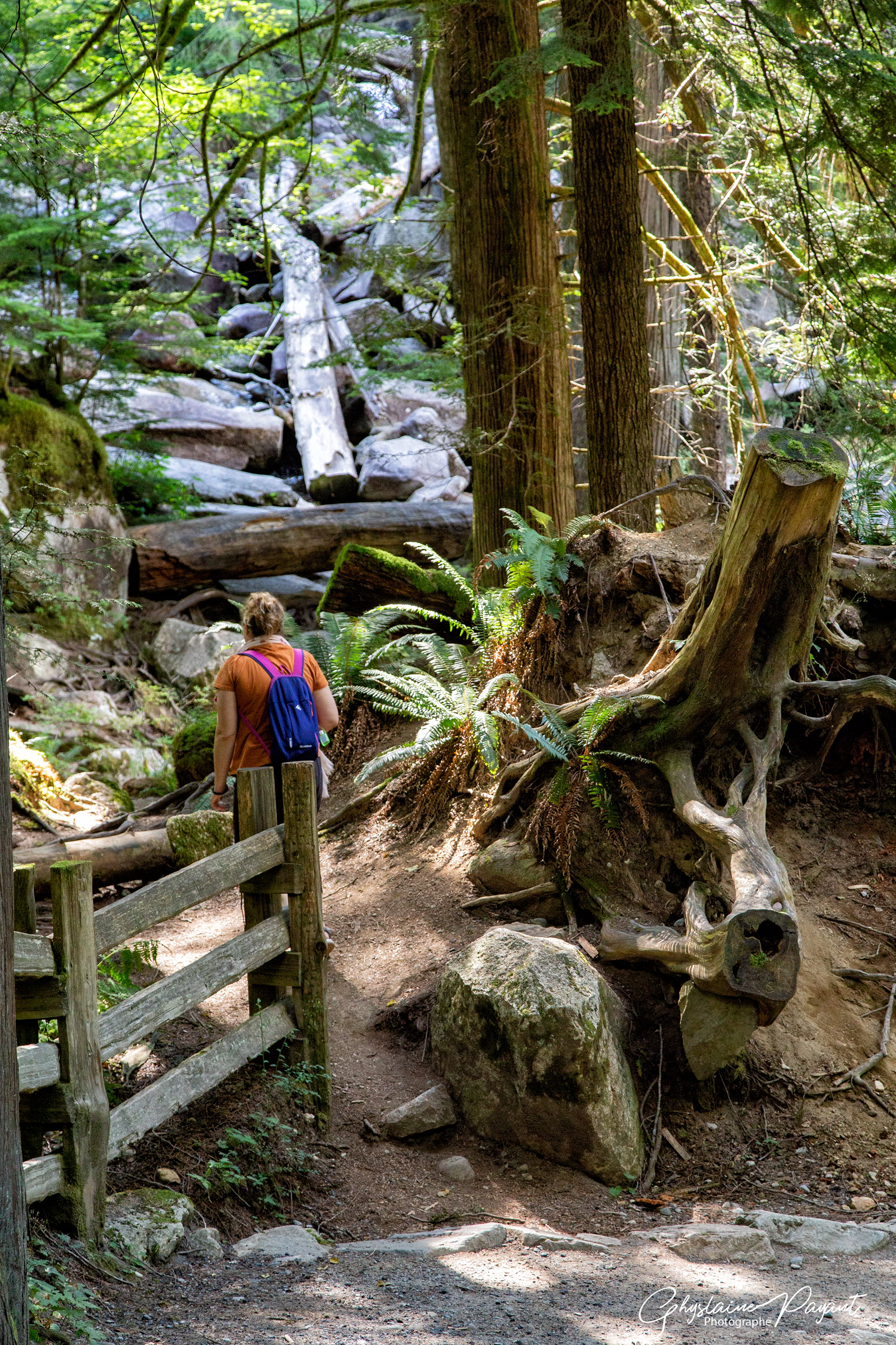 Shannon Falls Provincial Park