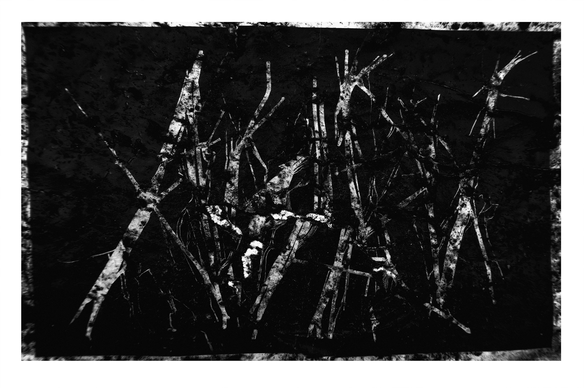 Astra, 2021, c-print, 110x74cm