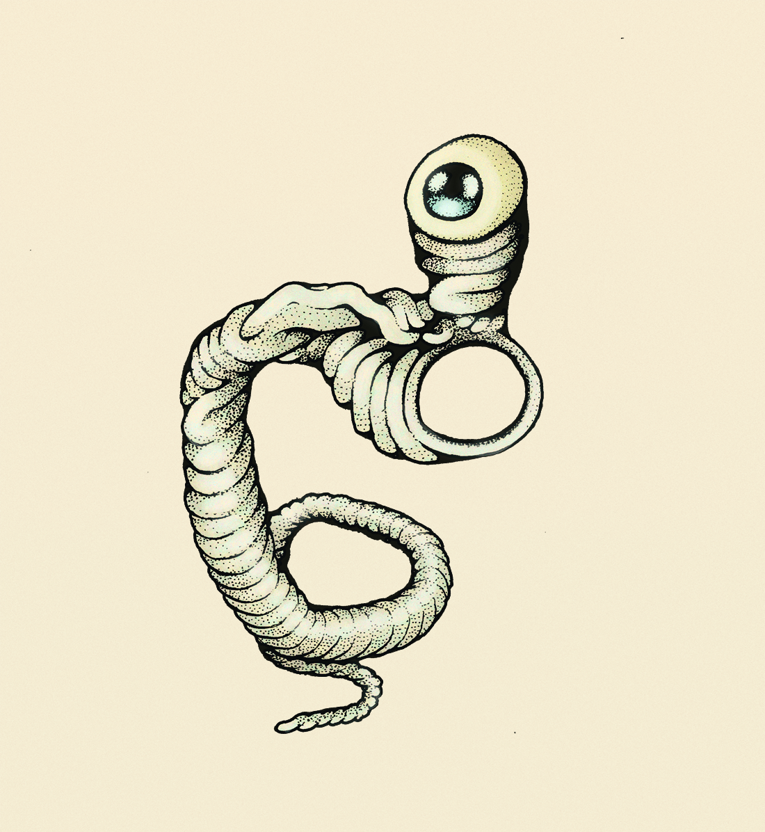 "Ringworm"