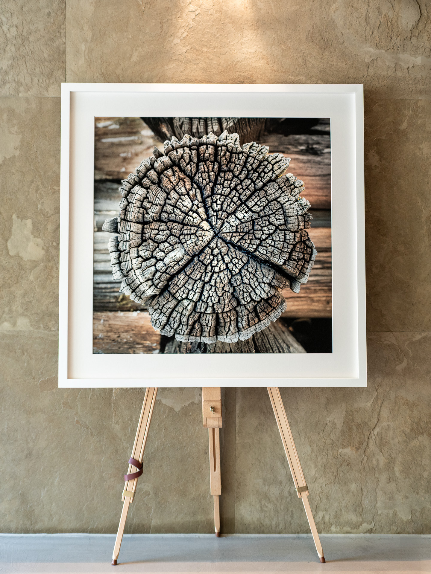 (80 x 80 cm)