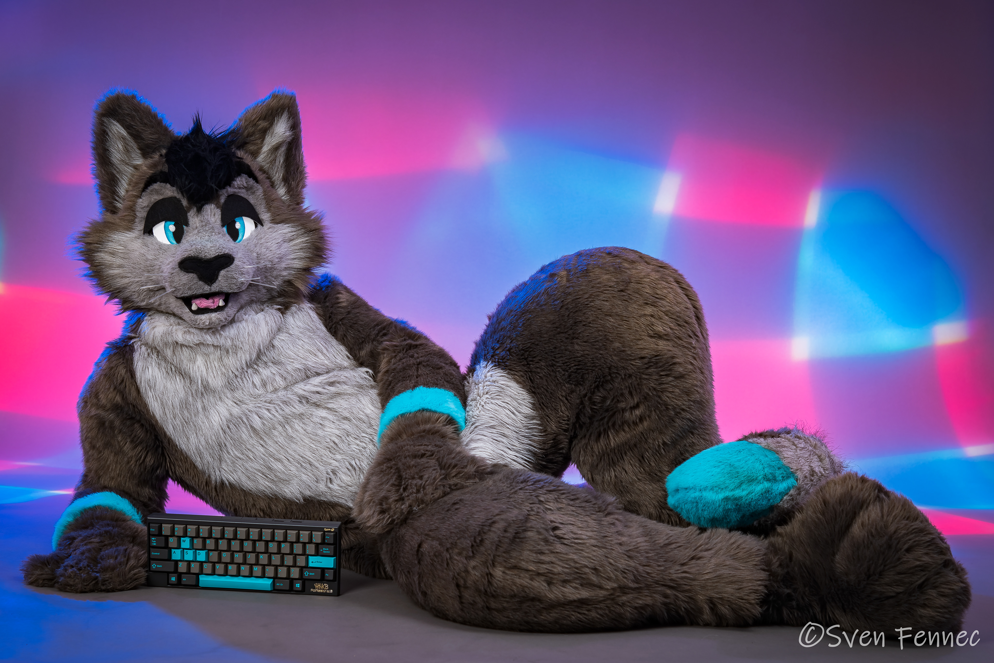 Sven Fennec Photography - 2018-2020 Studio Fursuit Portraits