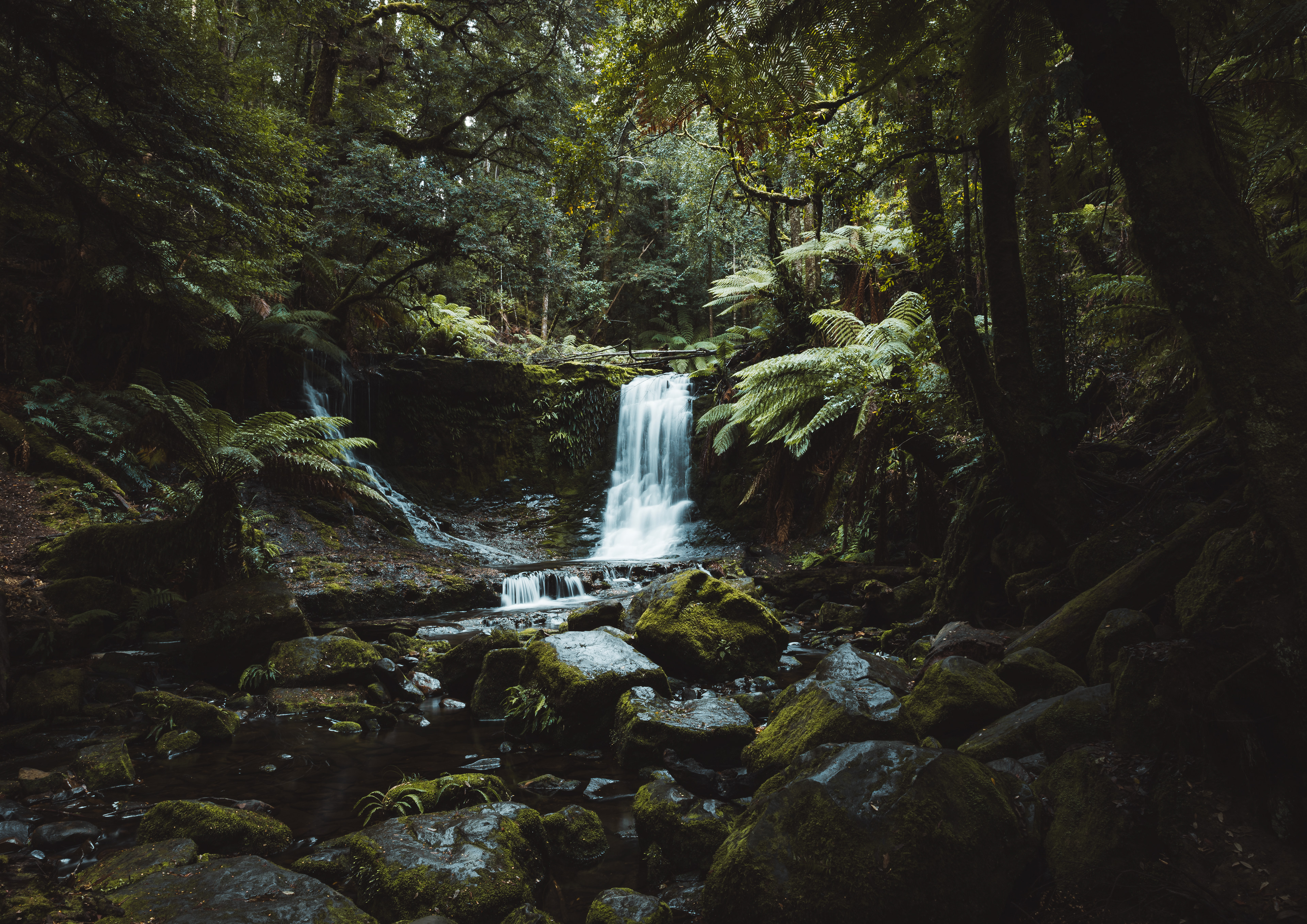 Horseshoe Falls