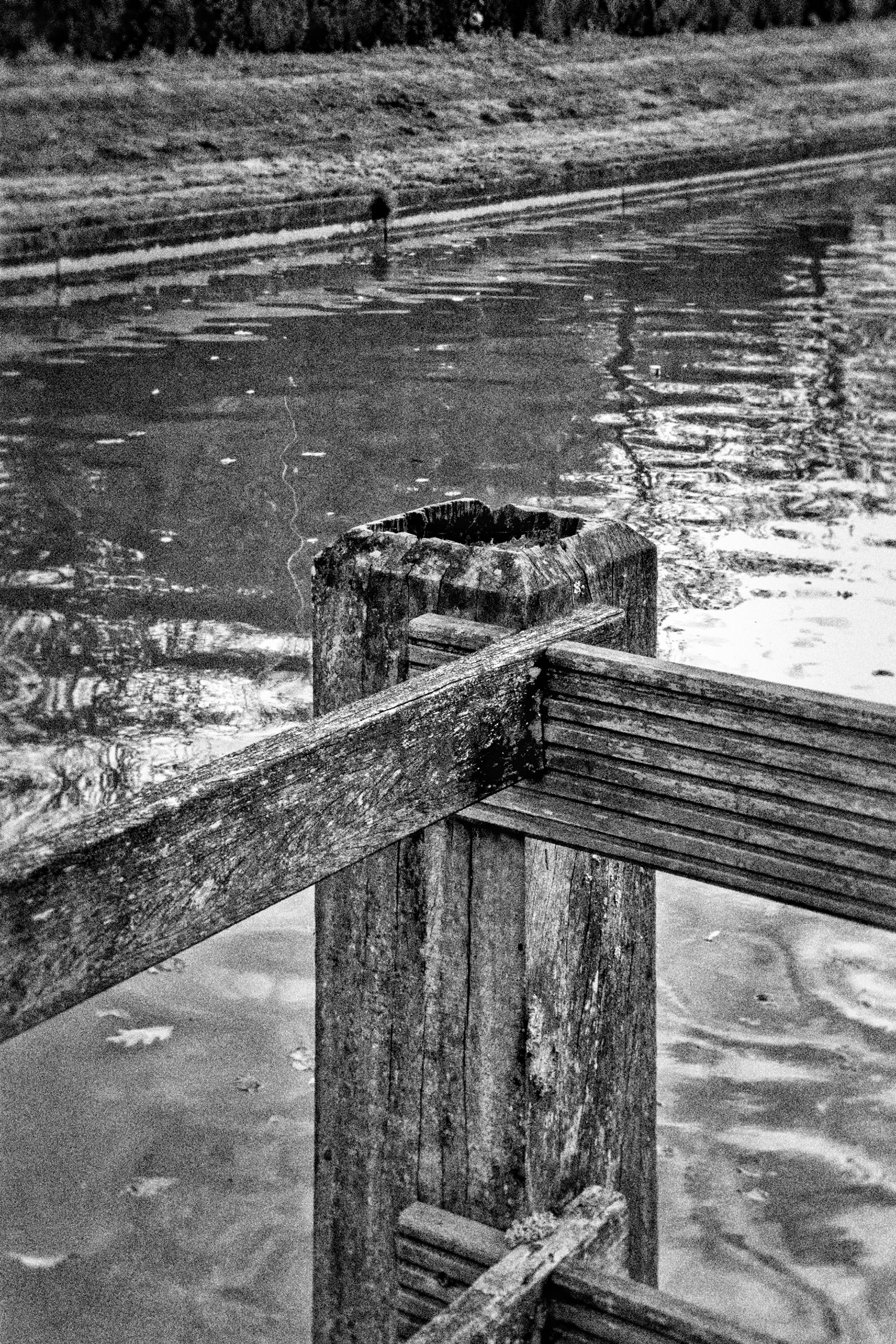 Yetty at the pond in Gulpen, a very graphic black and white photograph
