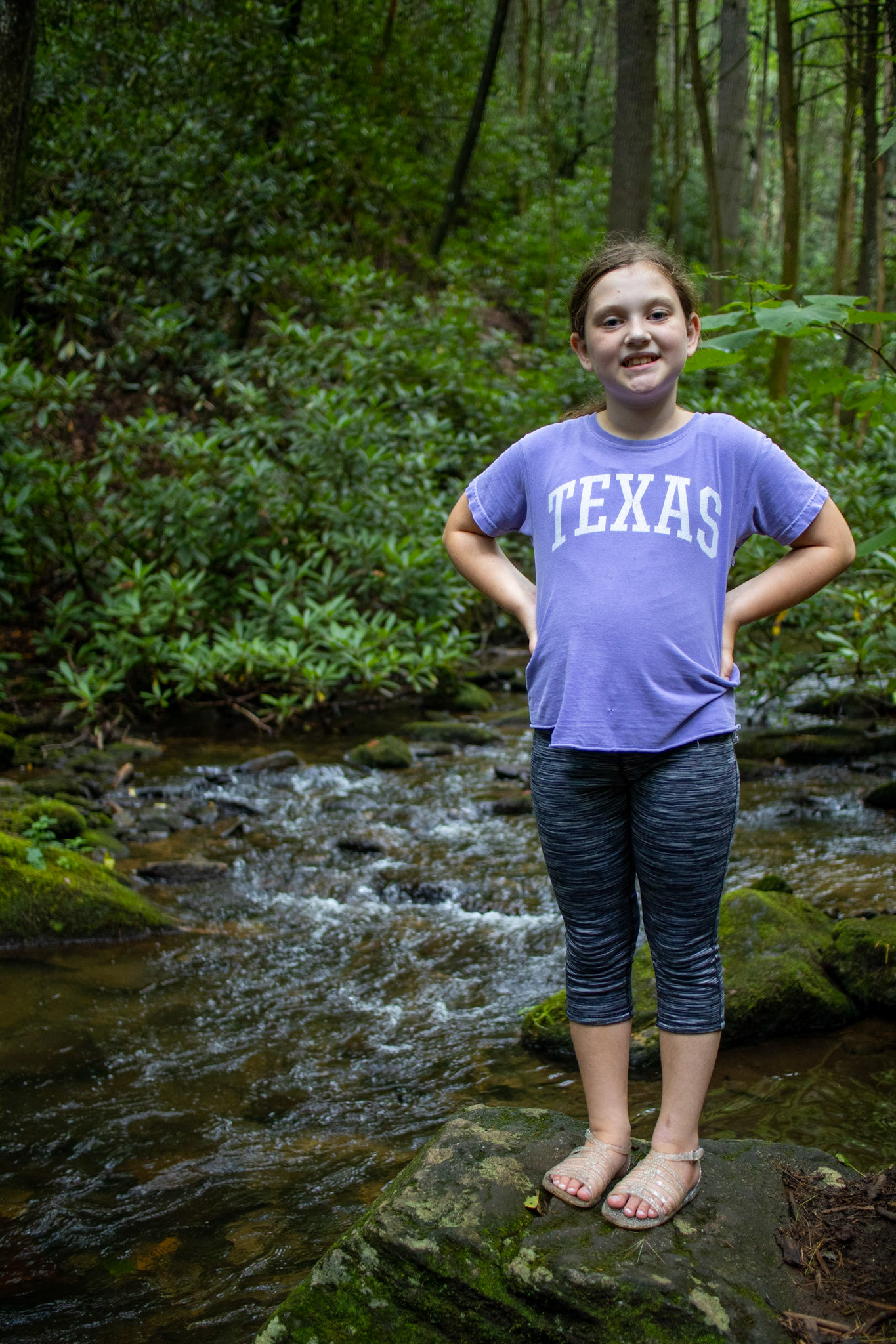 Texas in Georgia