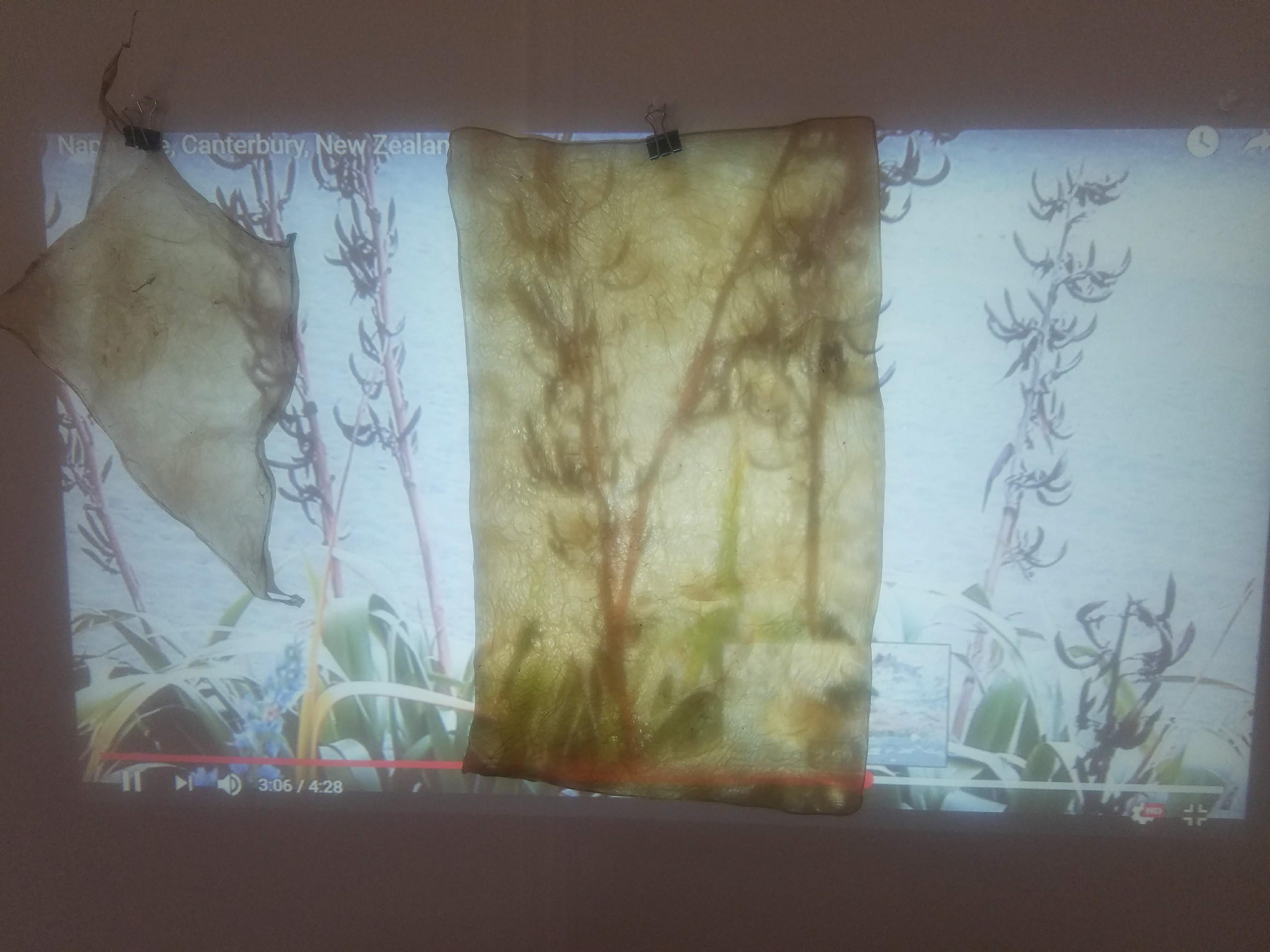 Projecting onto SCOBY