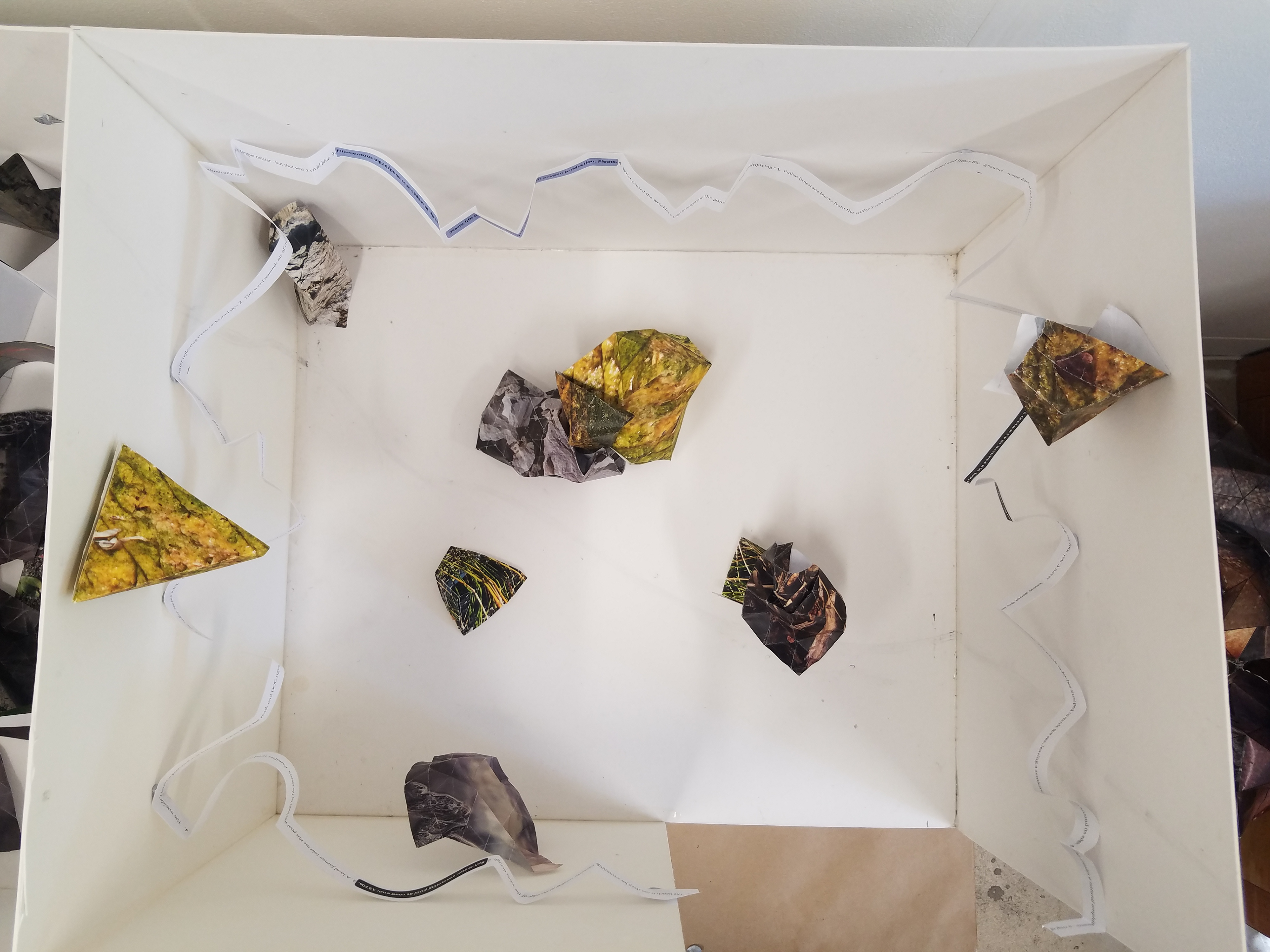Text on folded paper wrapped around room.