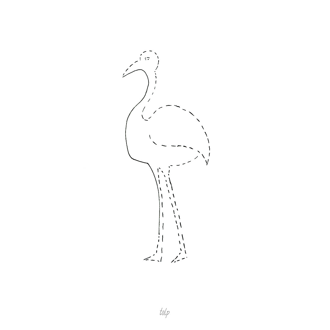 Standing Bird