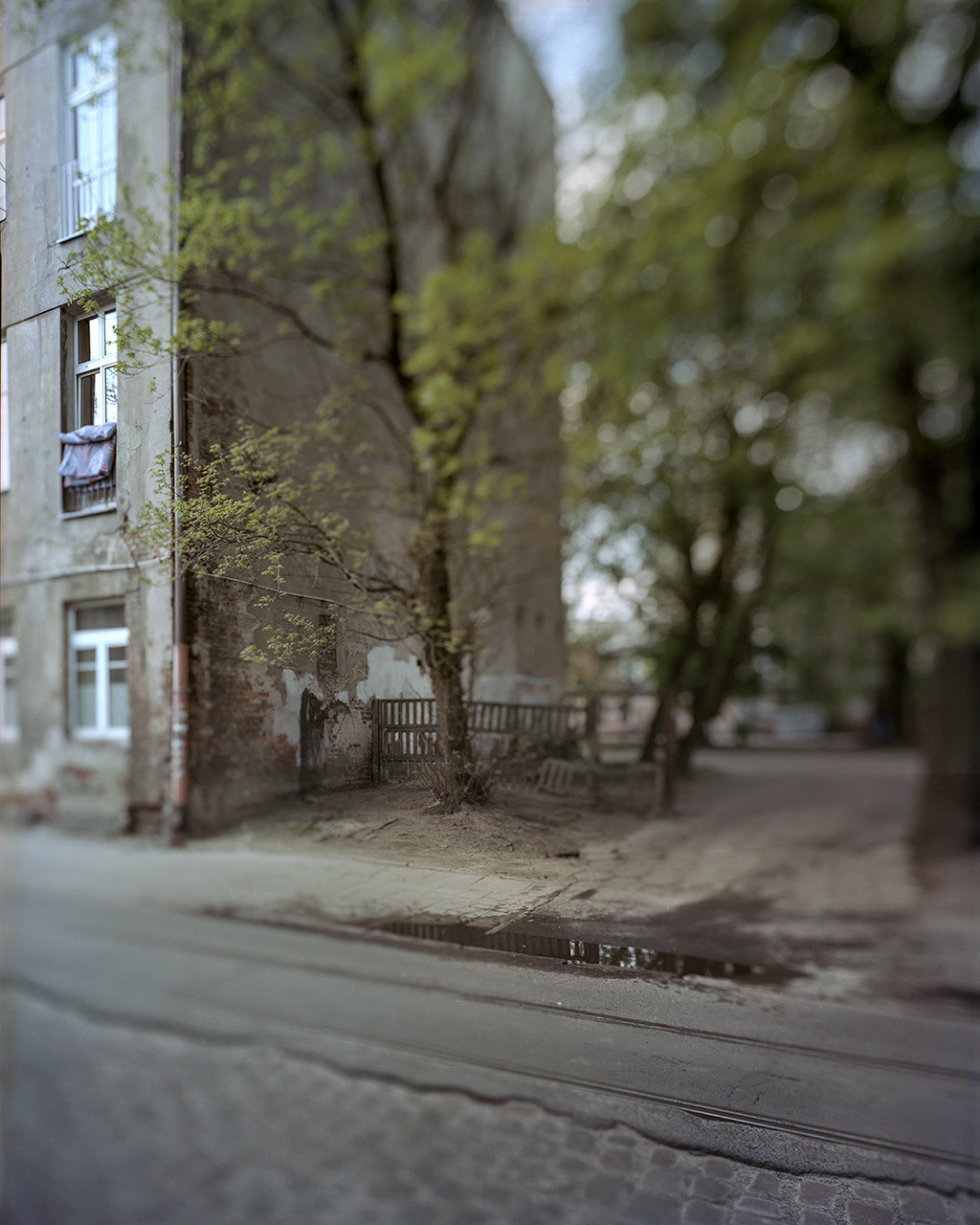 Łódź, Poland, 2011 / In the former Łódź ghetto, the site of the longest lasting Jewish ghetto in German-occupied Poland, imprisoning 230,000 people in 1940, from which 877 were liberated in 1944.