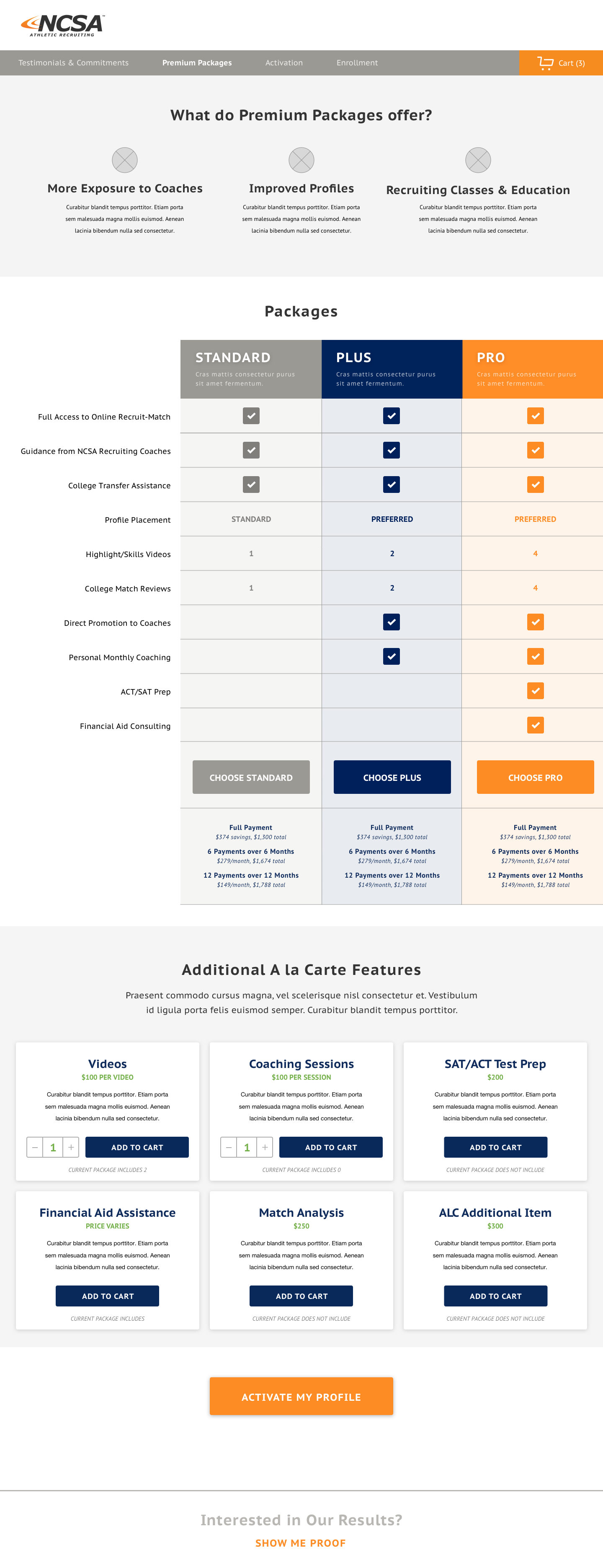 Screenshot: Old sales process for coaching packages.