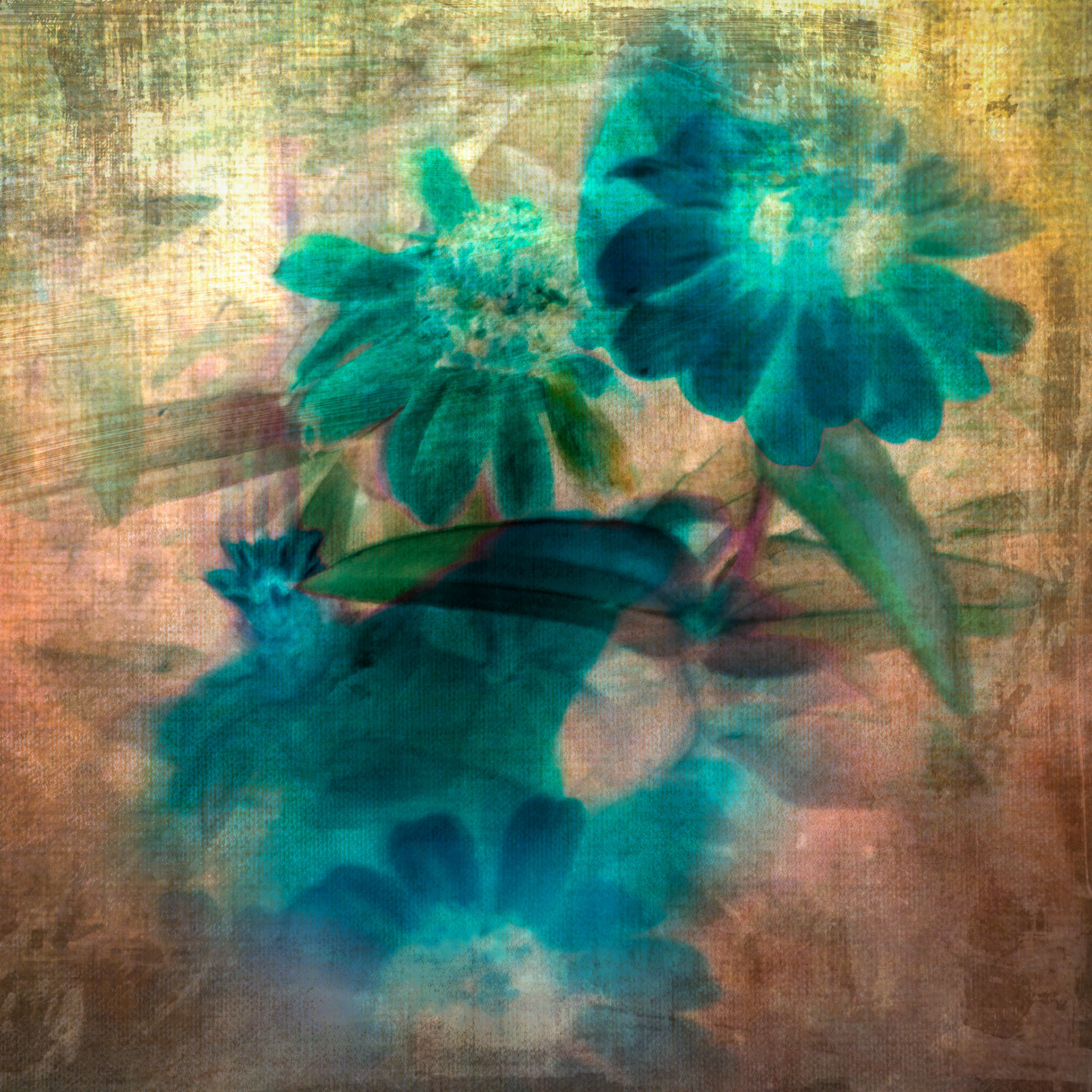 Japanese Still Life