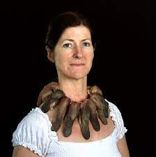 Cassandra's Necklace, modelled on Maher (2012)